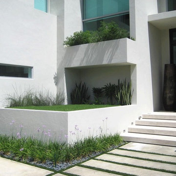 Tropical Modern