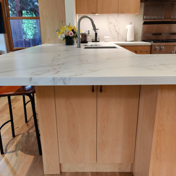 Under counter hidden cabinet