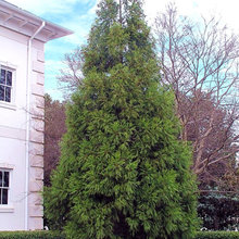 Kenton Garden