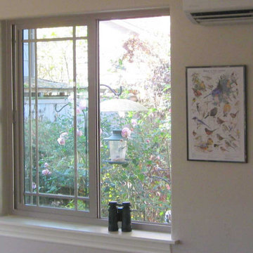 Audubon Bird Prints