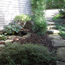 Landscape Ideas