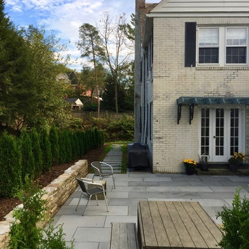 Backyard Grandeur