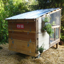 chicken coop