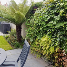 Green wall