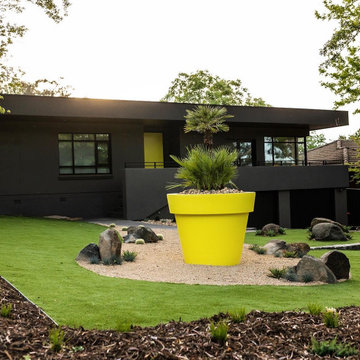 Palm Springs inspired Deakin Project