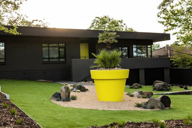 Photo of a large midcentury front yard full sun xeriscape for summer in Canberra - Queanbeyan with a garden path and concrete pavers.