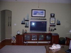 Entry rug on wood floor & carpet inlaid under a wood border in next room.  Love the various sized wood …