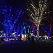 Colleen Kohnen's photo