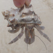 Photo de Kah Siong Chua