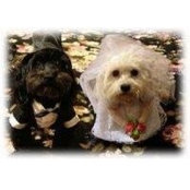 Debbie Pekala's photo