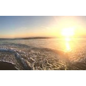 Debbie Goldberg's photo