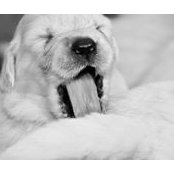 Светлана Абатурова's photo