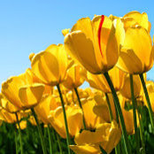 Sara Beatty's photo