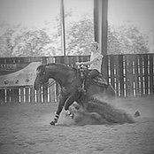 Taylor Reid's photo