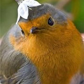 Nancy Schaefer's photo