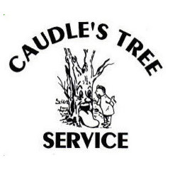 Caudle's Tree Service