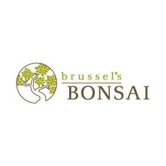 Brussel's Bonsai