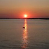 Dee Scott's photo