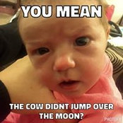 Jed Knicely's photo