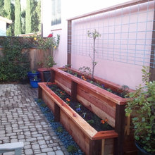 Yard - veg