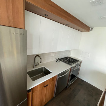 MaryJo Kitchen & Living Renovation