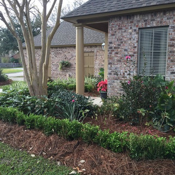 Modern Boxwood Look
