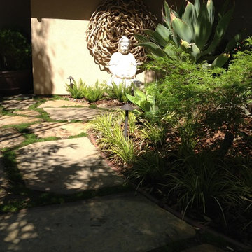 Asain Garden