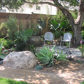 Backyard Outdoor Living