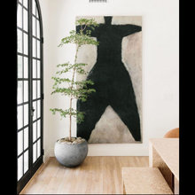 House plants