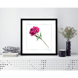 Flora and Fauna Collection - Framed Art Prints (FAUN01) - Artwork