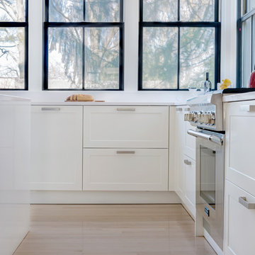 Newton Victorian with Modern Twist