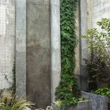 Urban yard and terrazes