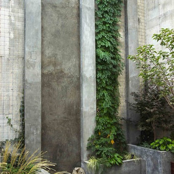 Modern Brooklyn Garden