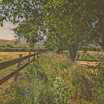Pollinator Hedgerow