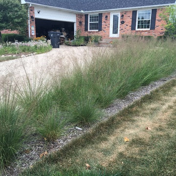 Native Grasses