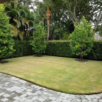 Individual Plant Photos # 1:Customer Aid (Not complete- hundreds will be here)
