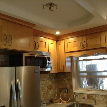 Bronx Kitchen renovation
