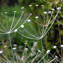 sally_matthews39's Ideas