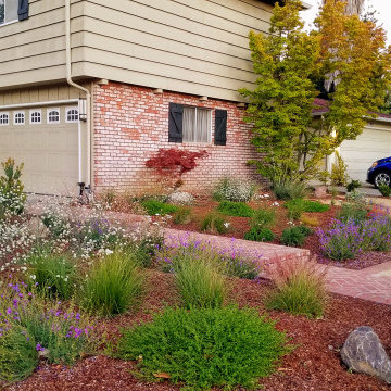 Saving Water and Supporting Wildlife with a Lawn Conversion