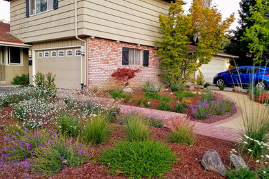 Inspiration for a drought-tolerant front yard landscaping in San Francisco.