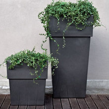 Patio Planters