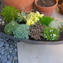 containers