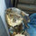 webuser_7181465