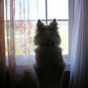 Dee Crosby's photo