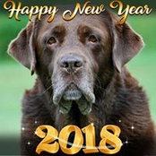 Monika Dufka's photo