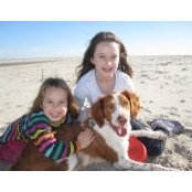Alison Newcomb's photo