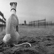 slamstoltzs foto