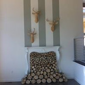 Ashley Rothwell's photo