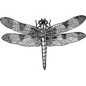 Jennifer Manning's photo