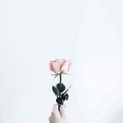 Hadeer Elshamy's photo